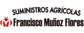 FRANCISCO MUÑOZ FLORES